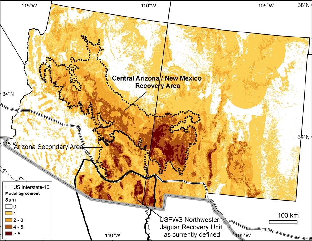 Just Add Jaguars Scientists identify large swath of potential habitat